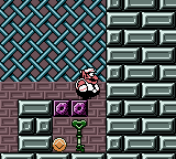 The way that leads to one of the Musical Coins in Tower of Revival.