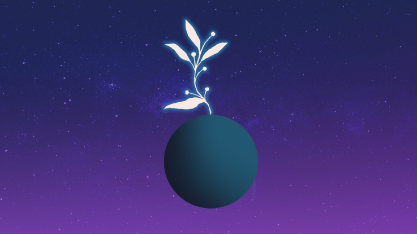 Growth Grants