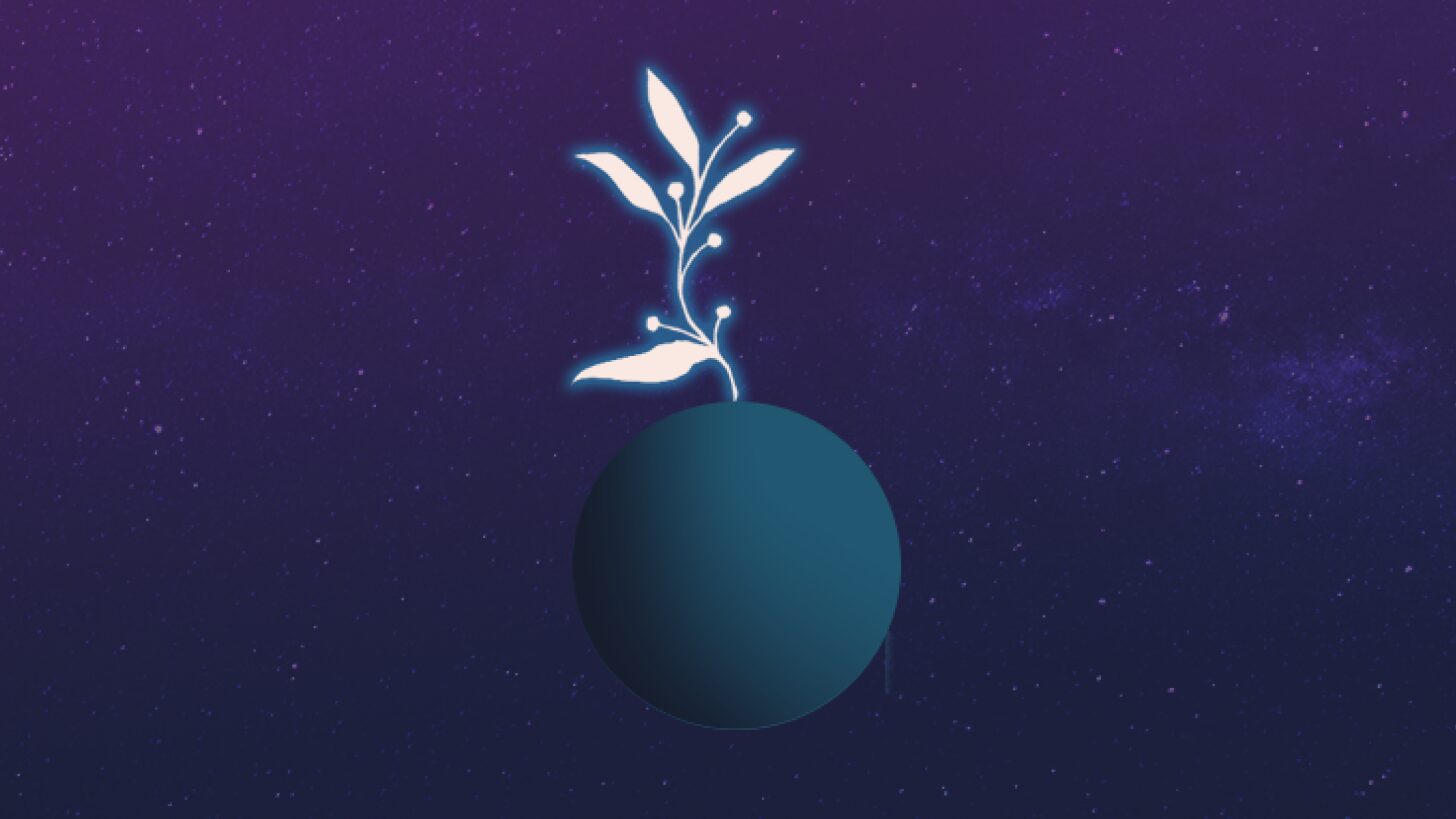 Growth Grants